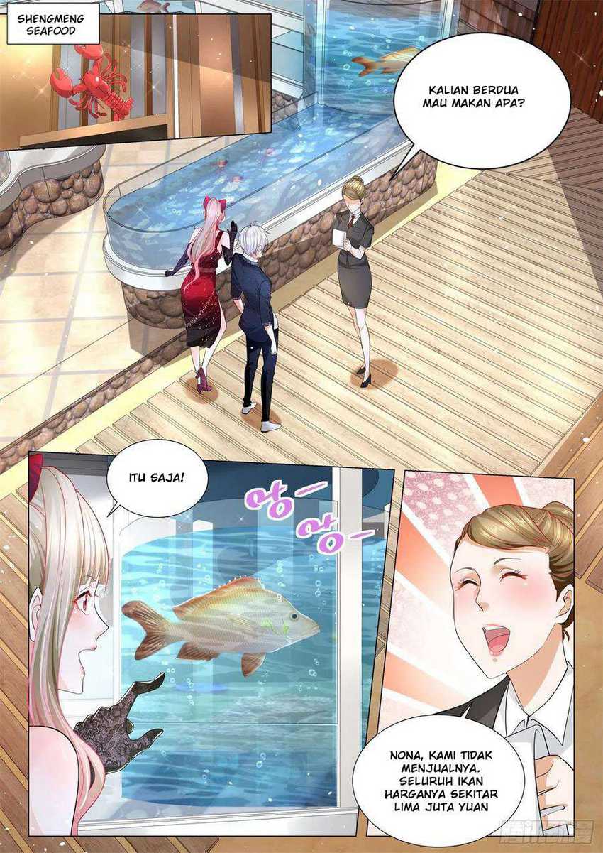 Shen Hao’s Heavenly Fall System Chapter 237 Gambar 2